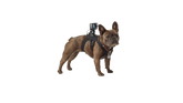 Fetch Dog Harness