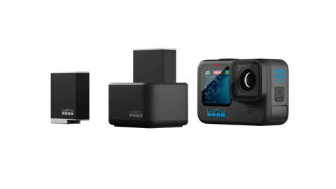 Dual Battery Charger + Enduro Batteries