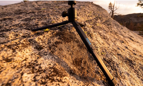Tripod + Ballhead