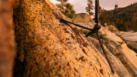 Tripod + Ballhead