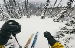 Bite Mount