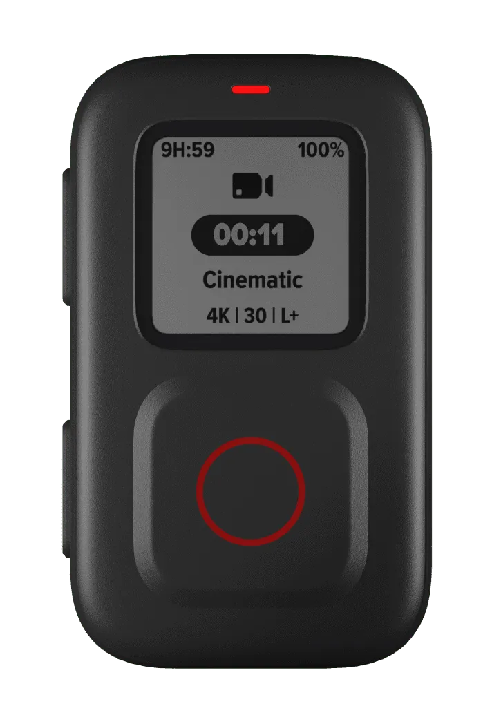 The Remote